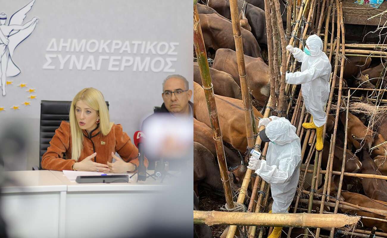 Απασφάλισε η Αννίτα για αφθώδη πυρετό και ζητά παραίτηση της Υπουργού Γεωργίας (video)