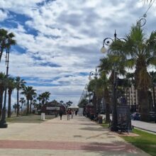 ba481f62-2e8d-4c97-91ad-b33c6fa9f663