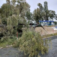 c4e5080f-74e6-4bff-abbf-bf07551116df