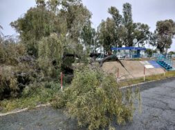 c4e5080f-74e6-4bff-abbf-bf07551116df