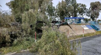 c4e5080f-74e6-4bff-abbf-bf07551116df