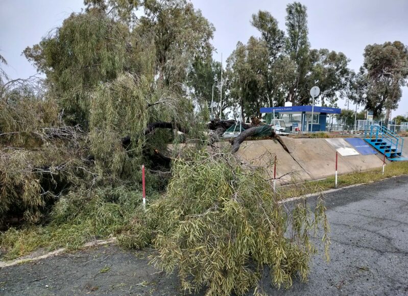 c4e5080f-74e6-4bff-abbf-bf07551116df