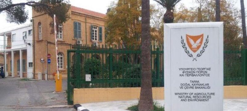 cache_1300x500_Analog_medium_441843_86699_25_11_02_123110