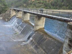 cache_780x1200_analog_medium_9992058_1589135_16032026111737