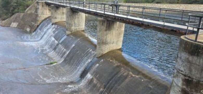 cache_780x1200_analog_medium_9992058_1589135_16032026111737