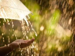 cache_980x637_Crop_medium_292326_95970_22_06_07_122548