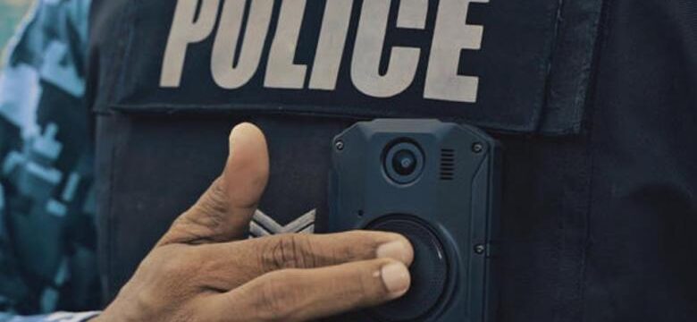 cache_980x637_crop_medium_606747_240393_23_03_15_051402