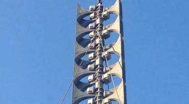 cats_vtn2xvywidth_750-thumb