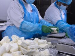 cna_t6d0575d5e6aa44bc8a38f641f8172347