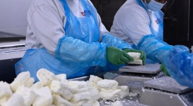 cna_t6d0575d5e6aa44bc8a38f641f8172347