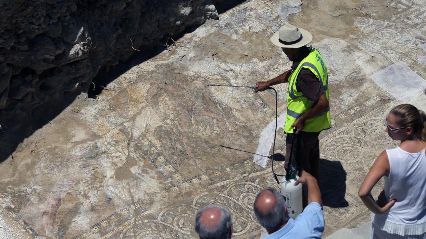 Δέκα χρόνια φαγούρας για ανάδειξη του σπάνιου ψηφιδωτού στην οδό Αγίου Νεοφύτου, στη Λάρνακα