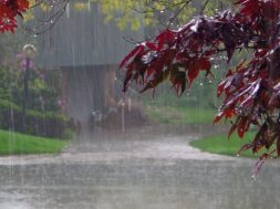 d68b2a98-c71a-4ef9-8cbc-2dc2adc754d1_βροχες-καταιγιδες