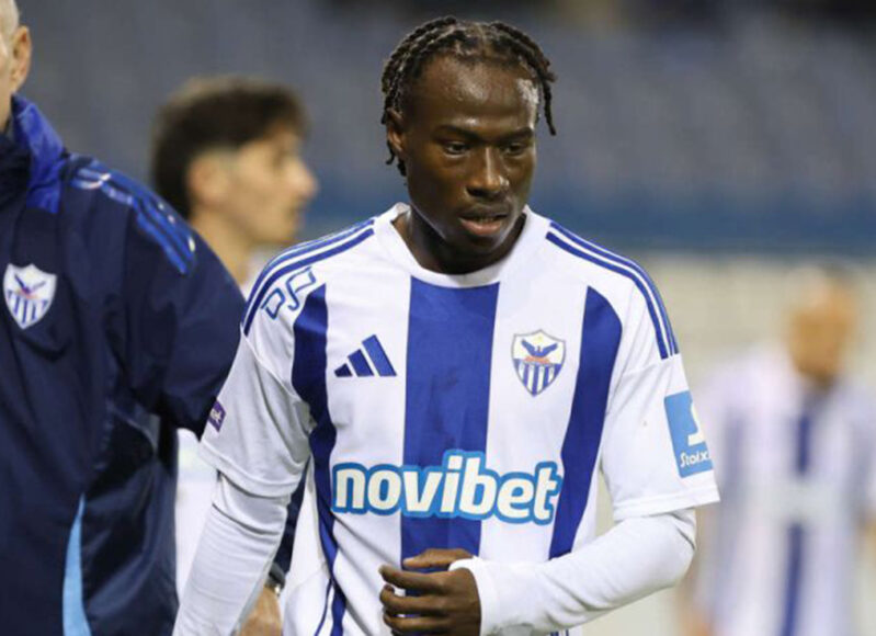 dion-anorthosisss