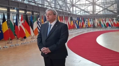 doc202603099949616ypergasias