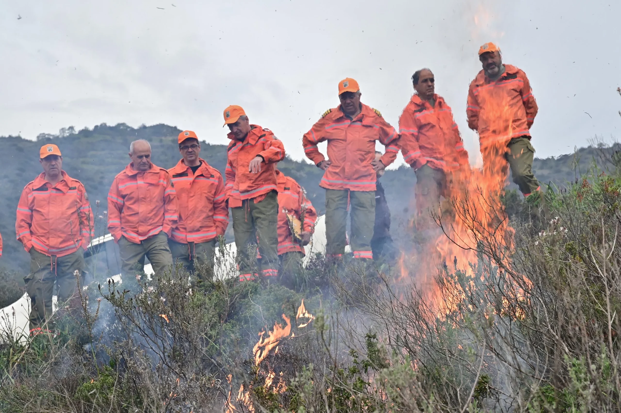 Εφαρμογή ελεγχόμενης καύσης στις παρυφές του Δάσους Μαχαιρά   (βίντεο)