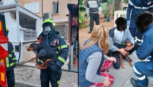 Πυρκαγιά σε διαμέρισμα στο Στρόβολο: Στο νοσοκομείο 2 πρόσωπα – Διασώθηκε σκυλάκι