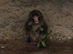 e2e50b08-ap26062458491370