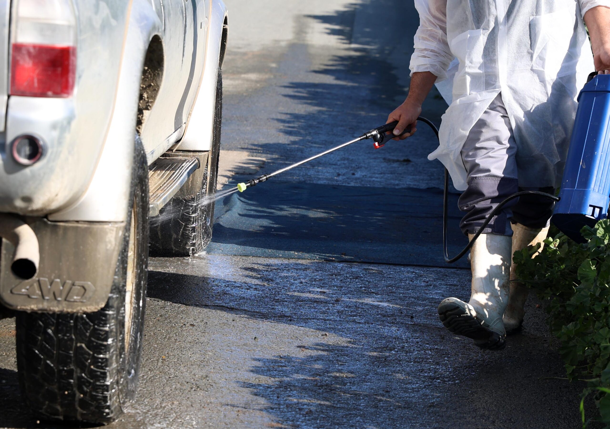 Οδηγίες από Υπ. Γεωργίας για τη μεταφορά ενσιρώματος λόγω αφθώδους πυρετού