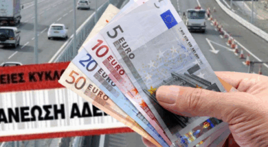 e5866354-958d-49f6-a2fa-f2e38c1ff7a3_adeieees1