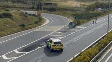 ed1b6a85-72df-4281-832c-165c4333277b