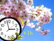 Sakura branch against the blue sky.