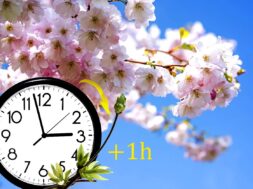 Sakura branch against the blue sky.