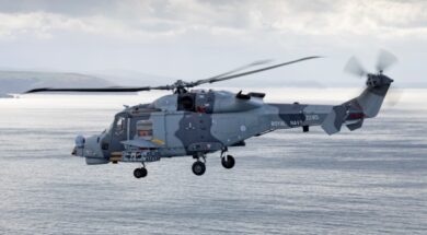 fd79a419-af2f-4a70-8d39-3bf11a267d66_leonardo-aw159