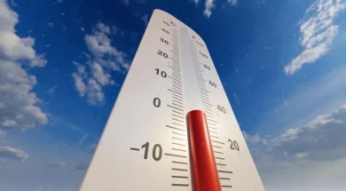 istockphoto_1935704398_640x640-thumb