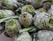 michelle-moody-hw5prfmzu40-unsplash_0