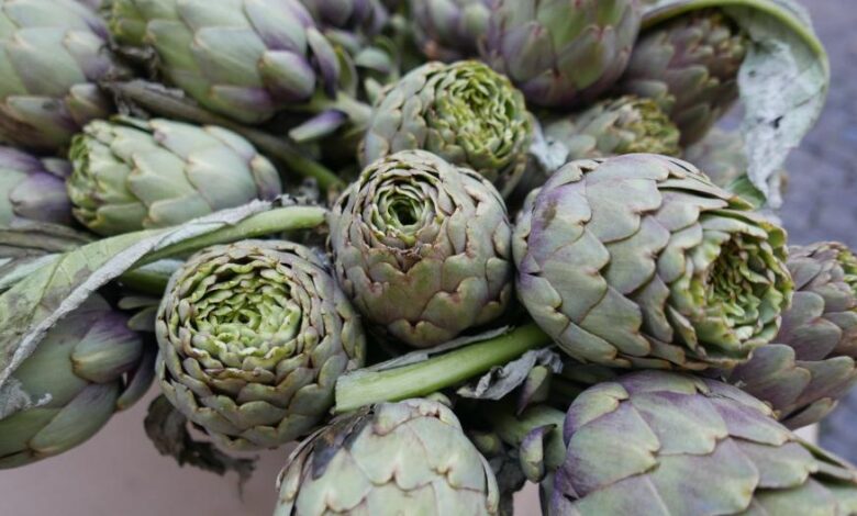 michelle-moody-hw5prfmzu40-unsplash_0