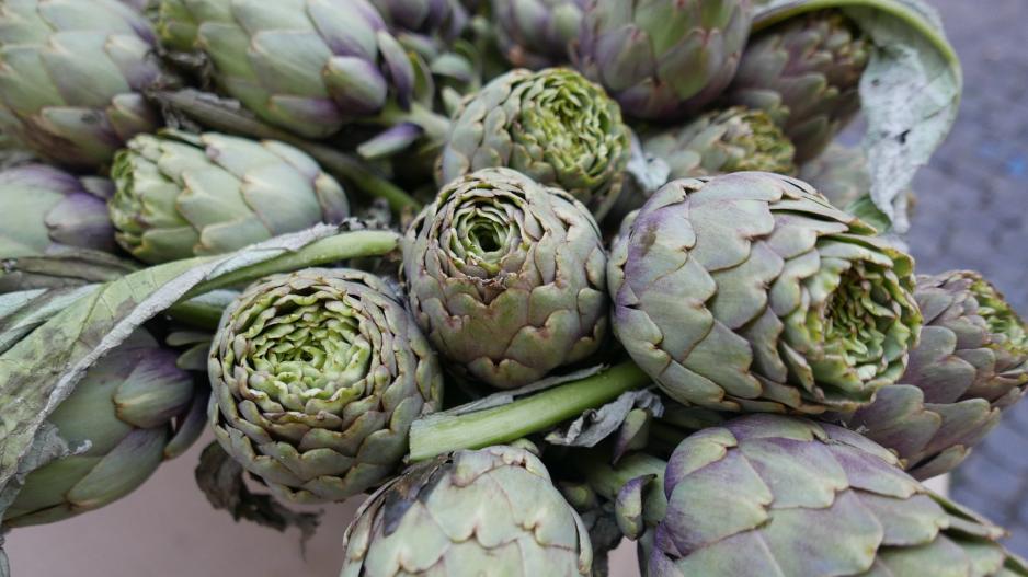 Το Κίτι ετοιμάζεται και φέτος για το 7ο Φεστιβάλ Αγκινάρας – Πότε θα πραγματοποιηθεί