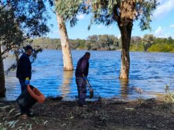 nekra-psaria-athalassa