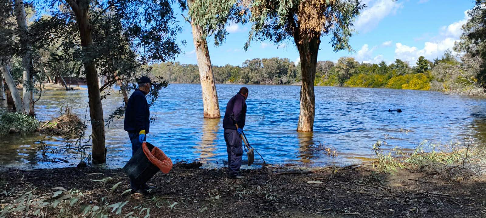 Γέμισε με νεκρά ψάρια η λίμνη του πάρκου Αθαλάσσας, ψάχνουν τα αίτια