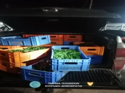 peppers_occupied_areas