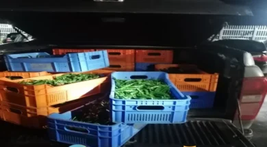 peppers_occupied_areas