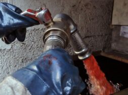 petrelaio-thermansis-1