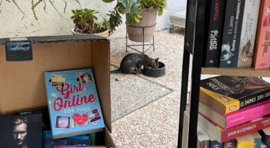 themeowmission.cyprus_1726910836_3461901468153745475_68037502176