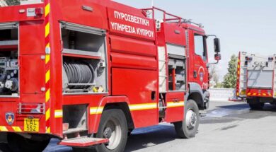 thumb__800_0_0_0_auto