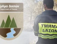 tmimadaswn_1_696x413