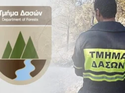 tmimadaswn_1_696x413