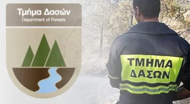 tmimadaswn_1_696x413