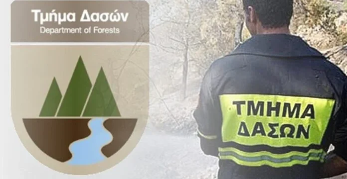 tmimadaswn_1_696x413