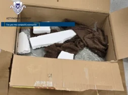 ykan_kataskhesi_kannavis_6kg_722_ghr_07032026_fwto_1