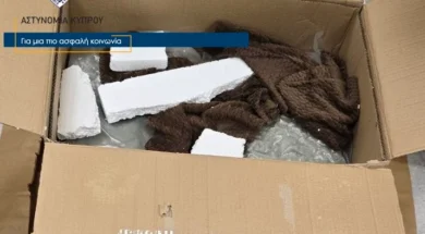 ykan_kataskhesi_kannavis_6kg_722_ghr_07032026_fwto_1