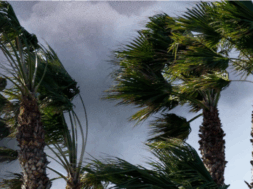 Αερας κωστας