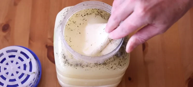 ΙΝΤΡΟ1-ριχ-πυτ-1-5W6A7278.00_23_50_19.Still010-copy