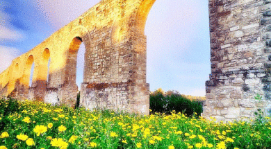 ΚΑΜΑΡΕΣ ΛΑΡΝΑΚΑ2