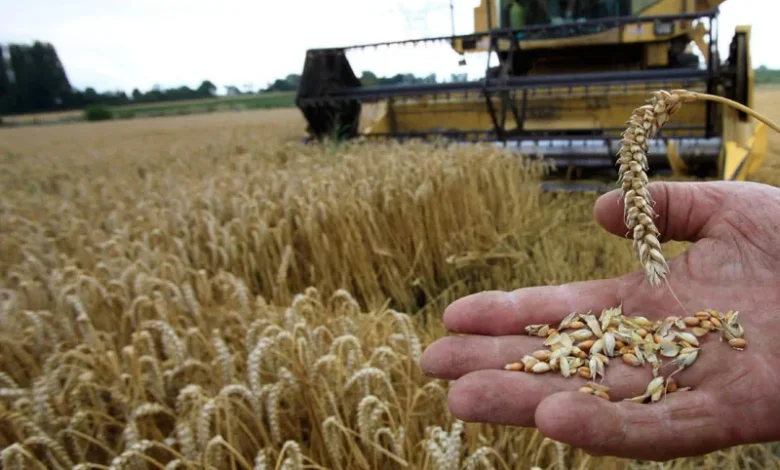 Σιτοπαραγωγοί-thumb