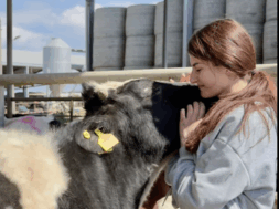 Στιγμιότυπο οθόνης 2026-03-14, 3.36.53 μμ