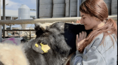 Στιγμιότυπο οθόνης 2026-03-14, 3.36.53 μμ